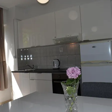 Dragovic דירה ברודאריצה