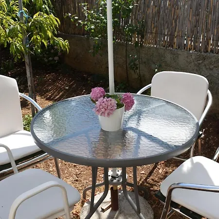 Dragovic ברודאריצה