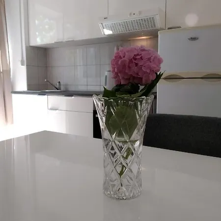 Dragovic Apartment