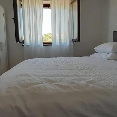 Dragovic ברודאריצה