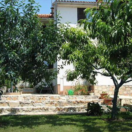 Apartamento Dragovic *