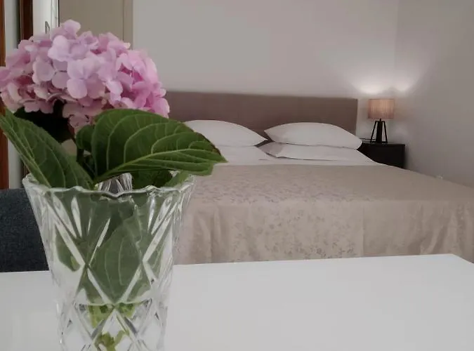 Dragovic * ברודאריצה