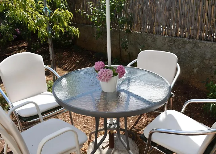 Dragovic ברודאריצה