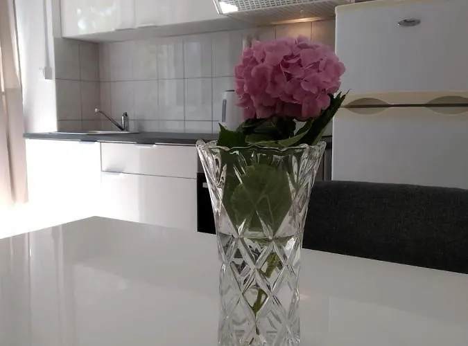 Dragovic Apartamento