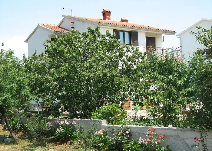 Dragovic ברודאריצה